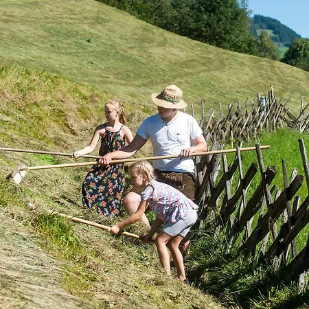 Bauernhof Reitbauernhof Großarl